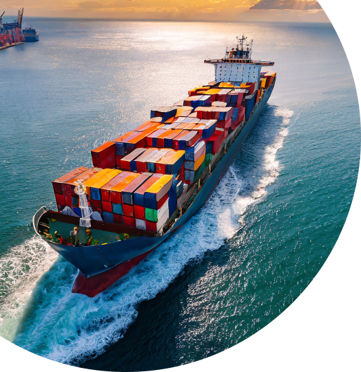 Why Choose Onihaxy Logistics